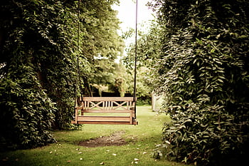 A tranquil wooden swing hanging in a verdant garden setting, ideal for relaxation. HD wallpaper