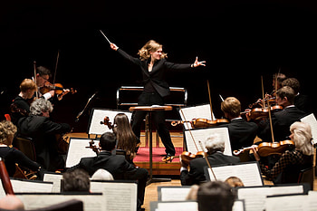 Orchestras, Need a conductor HD wallpaper