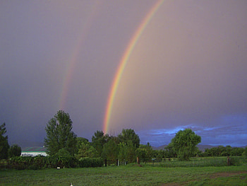the promise , nature, rainbow HD wallpaper