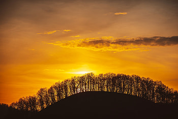 Sunset, nature, tree, lake HD wallpaper