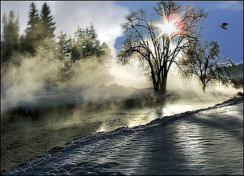 Break through, mist, birds, trees, water, lake, sunrise HD wallpaper