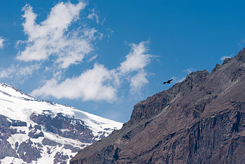 Eagle, Nature, Sky, Rocks, Bird HD wallpaper