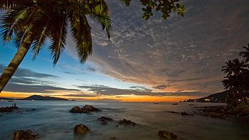 palm tree in magical patong beach phuket thailand, sea, lights, clouds, sunset, tree, beach HD wallpaper