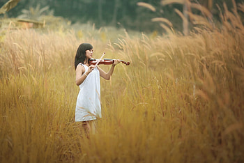 Play my love song, song, girl, beautiful, grass, violin, beauty, melody, love song, white dress, field, nature, imagine HD wallpaper