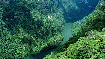 Sumidero Canyon, Amazon Rain Forest HD wallpaper