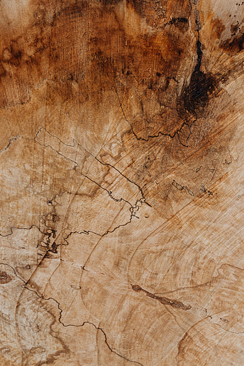 Wood, Wooden, Divorces, Texture, Textures, Surface HD phone wallpaper