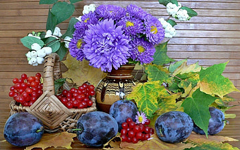 Still Life, Flowers, Food, Plums HD wallpaper