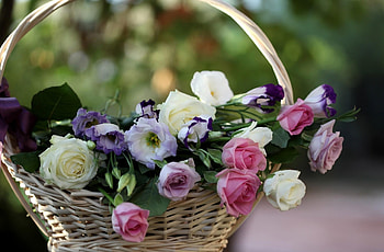 Flowers, Roses, Blur, Smooth, Basket, Lisianthus Russell, Lisiantus Russell HD wallpaper