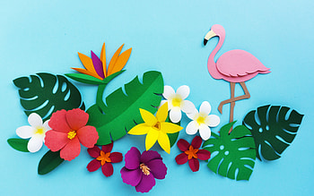 :-), colorful, blue, flamingo, paper, summer, pink, flower, texture, card, vara HD wallpaper
