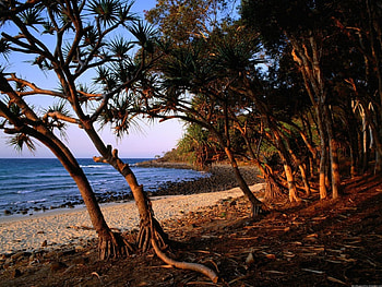 Beach, australia HD wallpaper