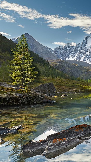 Paisaje, Naturaleza HD phone wallpaper