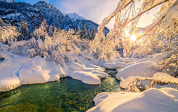 Wintersun, winter, white, creek, snow, beautiful, mountains, forest, sunrise HD wallpaper