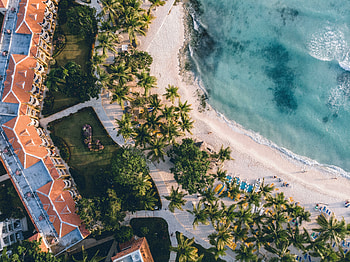 Aerial views of palms and beach, resort, nature HD wallpaper