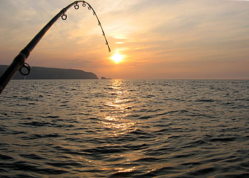 Bass Fishing Android Apps on Google Play HD wallpaper