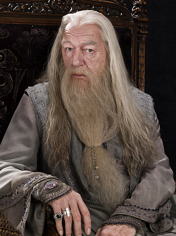 Michael Gambon ideas, Harry Potter world HD phone wallpaper