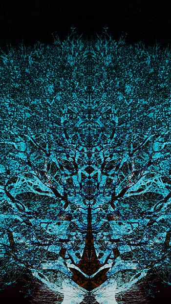 Astic, Fractal Forest HD phone wallpaper