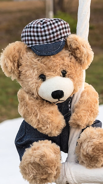 Cute Teddy Bear, Beautiful Cap HD phone wallpaper
