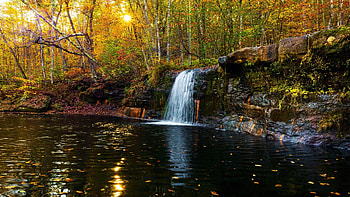 Autumn at Wolf Creek Falls, Banning State Park, Minnesota, river, leaves, fall, colors, trees, autumn, forest, pond, sunlight HD wallpaper