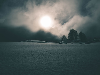Nature, Trees, Night, Snow, Fog HD wallpaper
