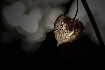 black, light, love, heart, dark HD wallpaper