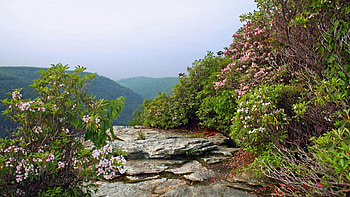 Landscape, Nature, Rivers, Trees, Stones, Summer HD wallpaper