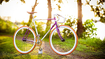 Sun, Summer, Miscellanea, Miscellaneous, Spring, Mood, Bicycle HD wallpaper