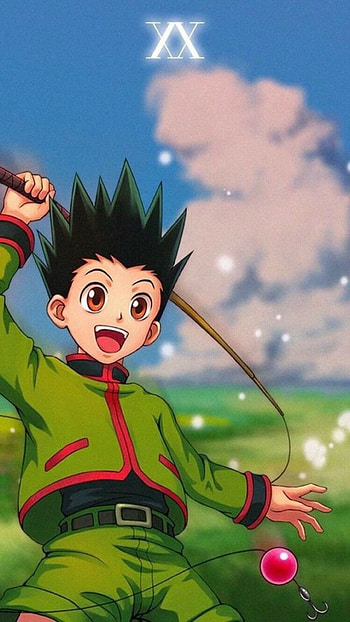 Hunter x Hunter, Diverse , Anime world, Visual delight HD phone wallpaper
