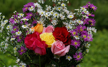 beautiful rose bouquet, colorful, bouquet, roses, beautiful, flowers HD wallpaper