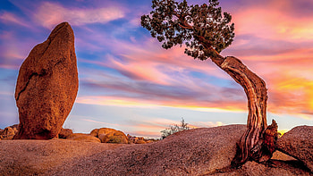 Joshua Tree NP, California, rocks, landscape, clouds, colors, sky, usa, sunset HD wallpaper