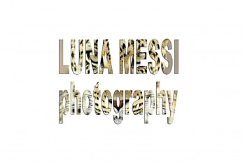 Luna Messi graphy, tiger, luna messi , eyes, luna messi grapher, digital, artist, texture, luna messi HD wallpaper