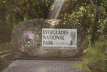 Everglades National Park, Stunning , Posted by Zoey Walker, Natural splendor HD wallpaper