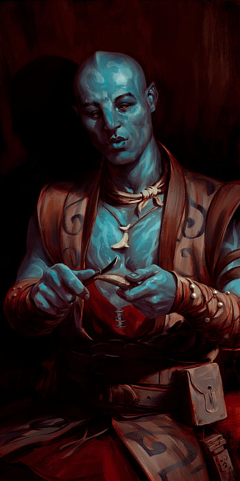 video game, Avowed HD phone wallpaper