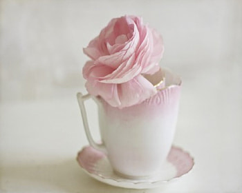 For Dear Alexandra , pastel, soft, femininity, pink rose, cup, home-style, beauty, still life, elegant HD wallpaper
