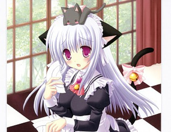 Neko, anime, cat, girl, long hair HD wallpaper