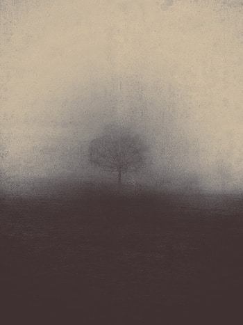 Art, Wood, Tree, Fog, Mystical, Mystic HD phone wallpaper