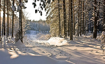 Winter, crystal, peaceful, serenity, nice, snowflakes, painting, snow, snowing, trees, white, frost, frozen, slope, path, house, steps, deep, cold, beautiful, mountain, cabin, bridge, clouds, nature, sky, cottage, lovely, calmness, forest, village HD wallpaper