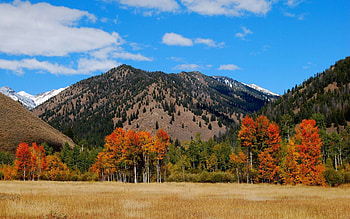 Nature, Trees, Sky, Mountains, Clouds HD wallpaper
