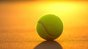 Tennis champions, Graceful athleticism, Smashing serves, Court battles HD wallpaper