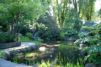 Nature, Water, Trees, Shine, Light, Garden, Shadows, Pond HD wallpaper