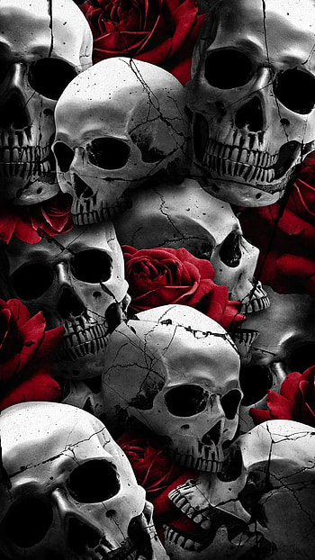 Calaveras, Rosas HD phone wallpaper