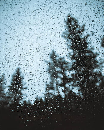 Raindrops on a window with pine tree silhouettes creating a serene and moody scene. HD phone wallpaper