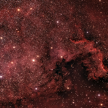 Universe, Stars, Starry Sky, Brown, Nebula HD phone wallpaper