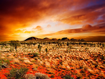 Desert Sunset, Painted Hills, hills, Australia, clouds, trees, desert, Painted Desert, sunset HD wallpaper