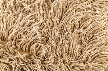 Detailed view of a brown textured surface, perfect for background or use. HD wallpaper