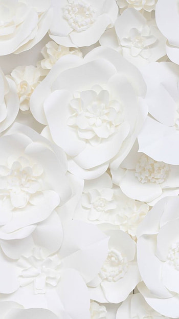 White Background, White HD phone wallpaper