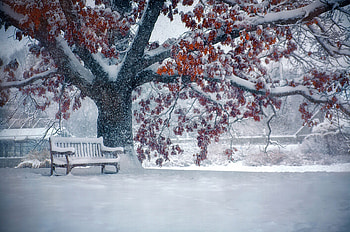 Snowfall , 2048 x 1358 HD wallpaper