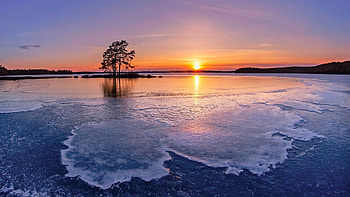 Frozen lake, Ice, Winter, Trees, Finland, Sunset HD wallpaper