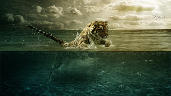 Tiger, big cat, tigru, water, blue, animal, art, summer, fantasy, pisici, vara HD wallpaper