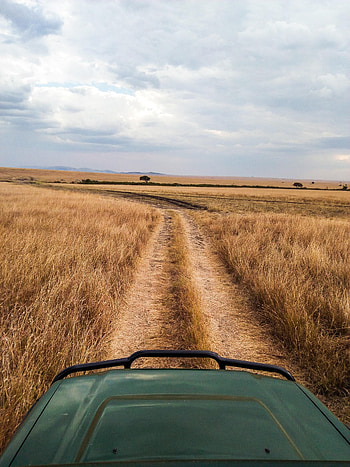 Nature, Grass, Road, Car, Machine, Dahl, Distance HD phone wallpaper