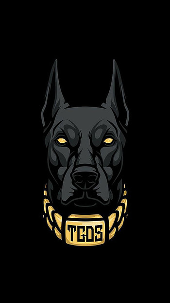 TGDS - DOG, animals HD phone wallpaper